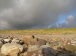 SX10500 Pebbles on the beach at Merthyr-mawr Warren.jpg